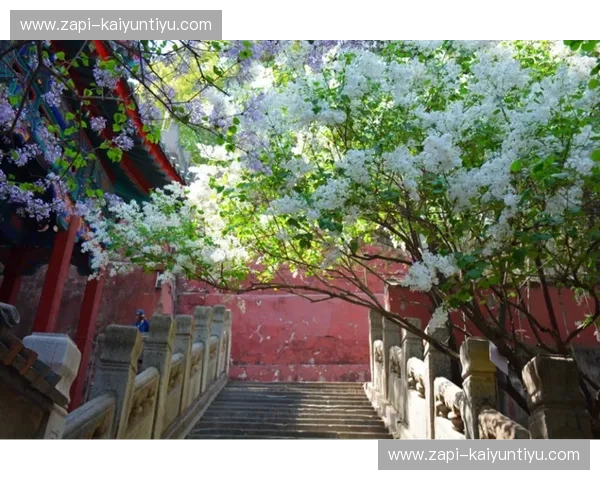 尘烟里的帝都风华，与面香里的三晋风骨：当北京遇上山西，谁才是真正的“中国底色”？